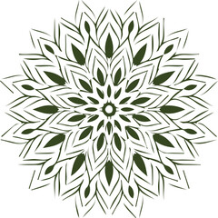 Beautiful flower art and mandala vector design