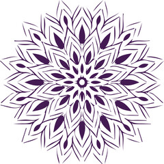 Beautiful flower art and mandala vector design