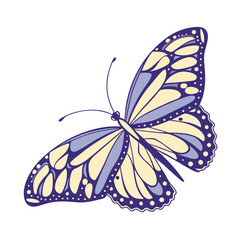 butterfly on white background