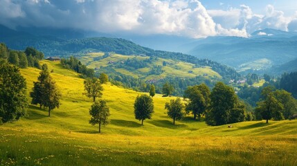 Obraz premium Rolling Hills with Trees and Meadows