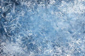 Fototapeta premium Digital paper, scrapbooking, background, frame, a lot of free space for text, ice-covered trees