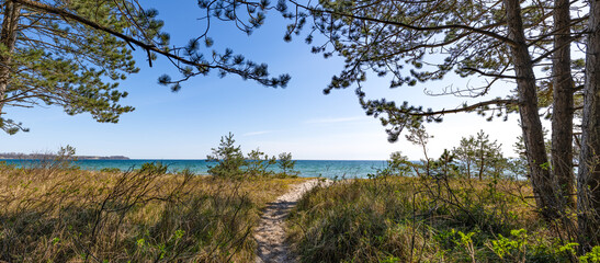traumhafter weißer Sandstrand - Blick durch den Dünenwald auf die Ostsee zwischen Zinnowitz und...