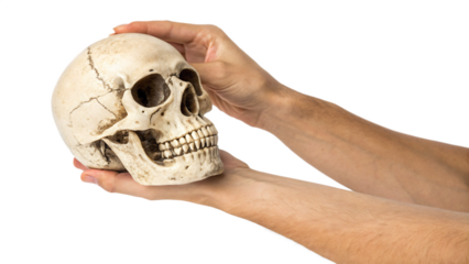 hand holding a skull