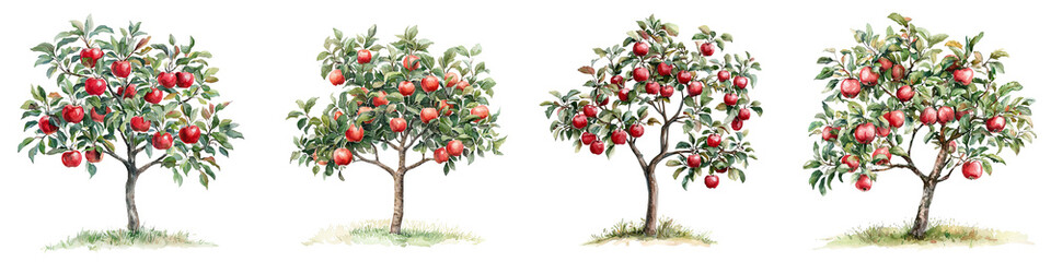 Four distinct apple trees displaying ripe red apples and lush green leaves, each tree showcasing a unique shape and arrangement.