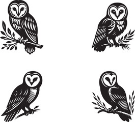  Barn owl bird silhouette vector art illustration. Black and white barn owl vector. © Rina