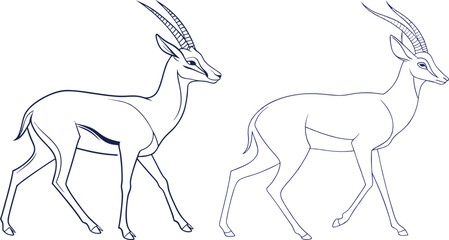 Gazelle line art vector and black and white drawing illustration design