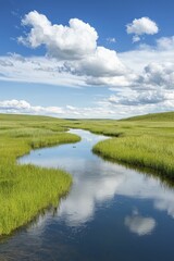 Ecological surveys reveal hidden species thriving within dynamic wetland ecosystems.