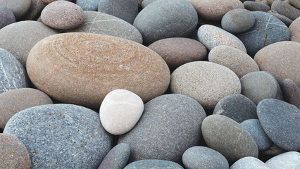 A pile of rocks with one white rock in the middle. The rocks are of different sizes and colors