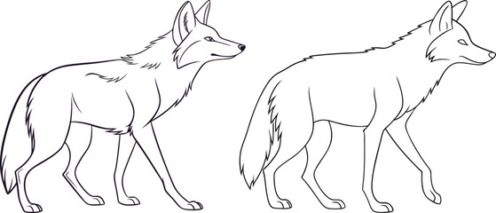 Jackal line art vector and black and white drawing illustration design