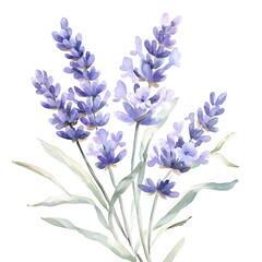Obraz premium Vibrant summer flowers watercolor art garden inspiration home decor nature scene artistic viewpoint floral concept