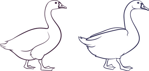 Goose line art vector and black and white drawing illustration design