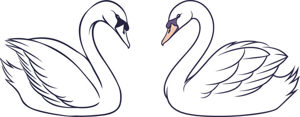 Swan line art vector and black and white drawing illustration design