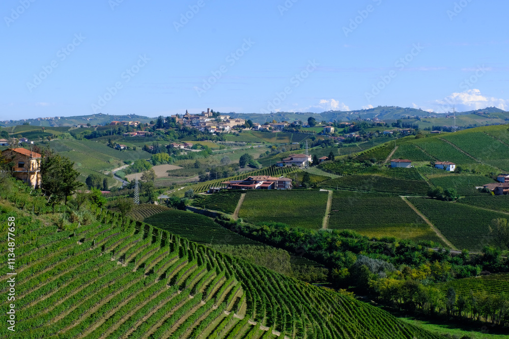 Wall mural Il paese di Neive nelle Langhe, visto da Barbaresco in provincia di Cuneo, Piemonte, Italia.