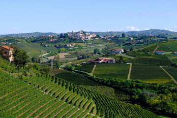 Il paese di Neive nelle Langhe, visto da Barbaresco in provincia di Cuneo, Piemonte, Italia.