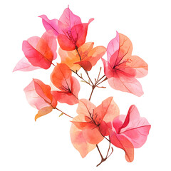 Summer flowers watercolor art vibrant bougainvillea in bloom nature's palette studio setting bright and airy concept
