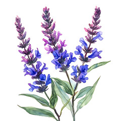 Fototapeta premium Vibrant summer flowers in watercolor art nature scene botanical illustration outdoor garden close-up perspective floral beauty