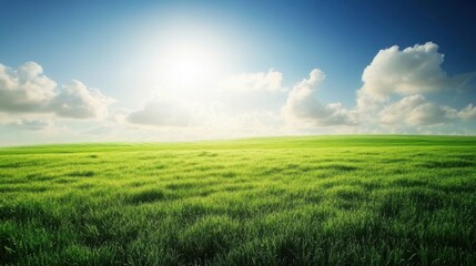 Obraz premium Bright Green Field Under Blue Sky with Fluffy White Clouds