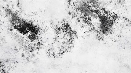Obraz premium Texture background of dirty black mold on a white wall showing extensive discoloration and organic growth patterns