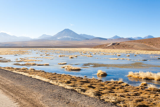 Dirt road perspective view,Chile