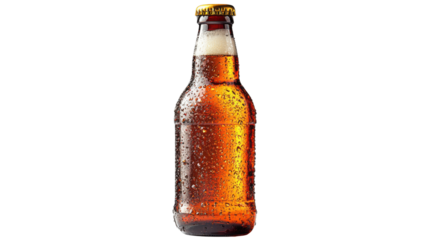 beer bottle isolated on white background 