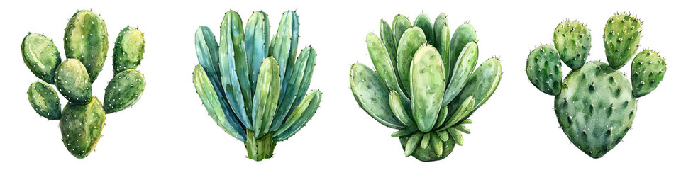 Fototapeta premium A collection of vibrant green cacti, showcasing different shapes and textures, highlighting their unique features and colors.