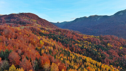 Aerial view of autumn forest in mountain