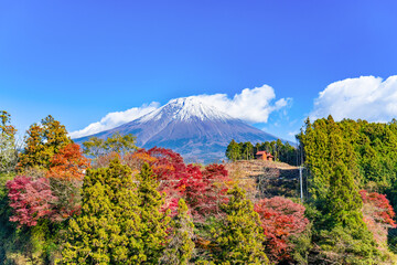 Fototapeta premium 静岡県富士宮市白糸の滝 芝生広場から見た紅葉と富士山