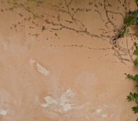 Old wall with vegetation marks. Natural rustic background perfect for organic design themes, architectural details, weathered surfaces, outdoor textures and creative visual composition