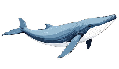 Obraz premium Blue Whale Vector Art Illustration with Black and White Color Palette