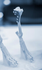 Implants and prostheses printed on 3D printer from biocompatible titanium powder. Plates for correction of deformation for animals. Titanium plates on animal bones printed on 3D printer from plastic.