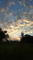 Embrace the Evening GlowGolden Horizon