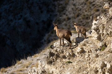 Looking the Apennines