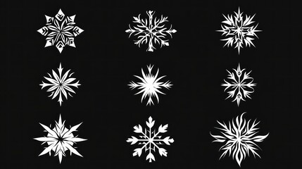 Nine Unique White Snowflake Designs On Black Background