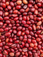 Red Coffee Beans Background - Rich, vibrant red coffee beans, close-up texture, energy, warmth, abundance.