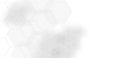 White Hexagonal Background. Luxury White Pattern. wallpaper Illustration. Futuristic abstract honeycomb mosaic white background. geometric mesh cell texture. modern futuristic wallpaper.