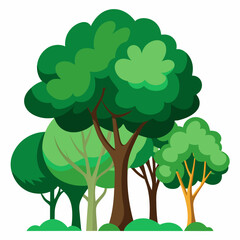 tree isolated on white