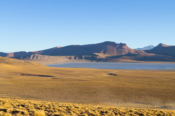 Morejon lagoon view, Bolivia