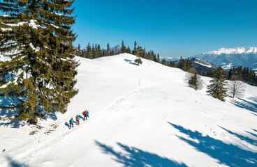 Adventurers trek through a pristine snowy landscape in Piatra Craiului, surrounded by majestic trees and distant mountains under a clear blue sky. Experience the beauty of winter in Romania