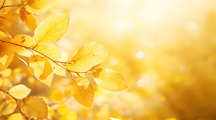 An abstract nature background filled with autumn leaves.