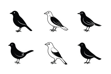 A set of bird vector illustration