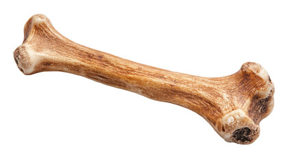 A natural dog bone for pets and wildlife. transparent background