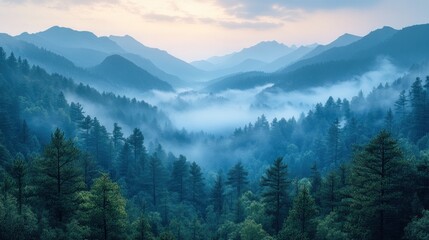 Misty Mountain Majesty: A Serene Landscape