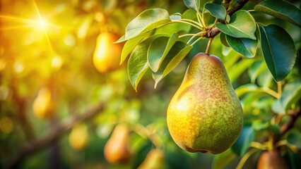 A ripe pear hangs from a branch with sunlight filtering through the leaves in a flourishing orchard.