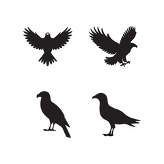 bird silhouette vector arts and design
