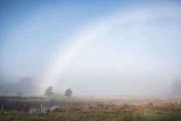 Beautiful atmospheric Autumn landscape image of rare fog bow over Elterwater riverbank with copse of trees
