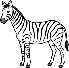 Striped Zebra, African Equine, Wildlife Animal, Black and White Drawing