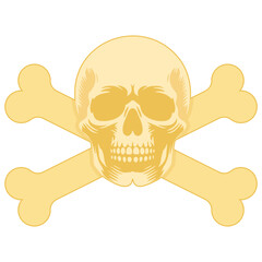 Skull and Crossbones Vector Illustration