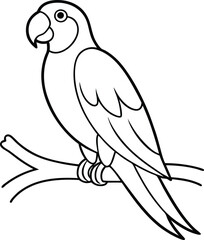 Adorable Parrot Line Drawing Bird, Perch, Avian, Wildlife, Exotic, Tropical, Feather, Wing, Beak, Sk