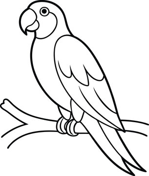 recommend clip art: Adorable Parrot Line Drawing Bird, Perch, Avian, Wildlife, Exotic, Tropical, Feather, Wing, Beak, Sk