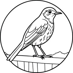 American Robin Bird Line Art, Coloring Page, Wildlife, Nature, Illustration